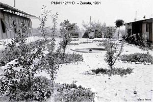 216 ALAT 11 (25)